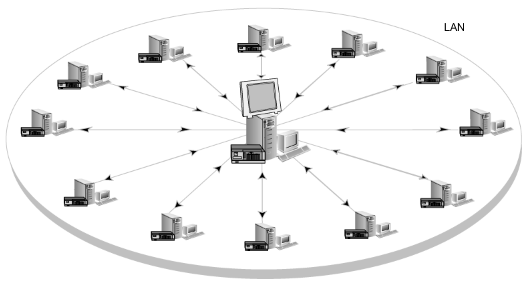 CAS-configured Backup Exec environment - LAN