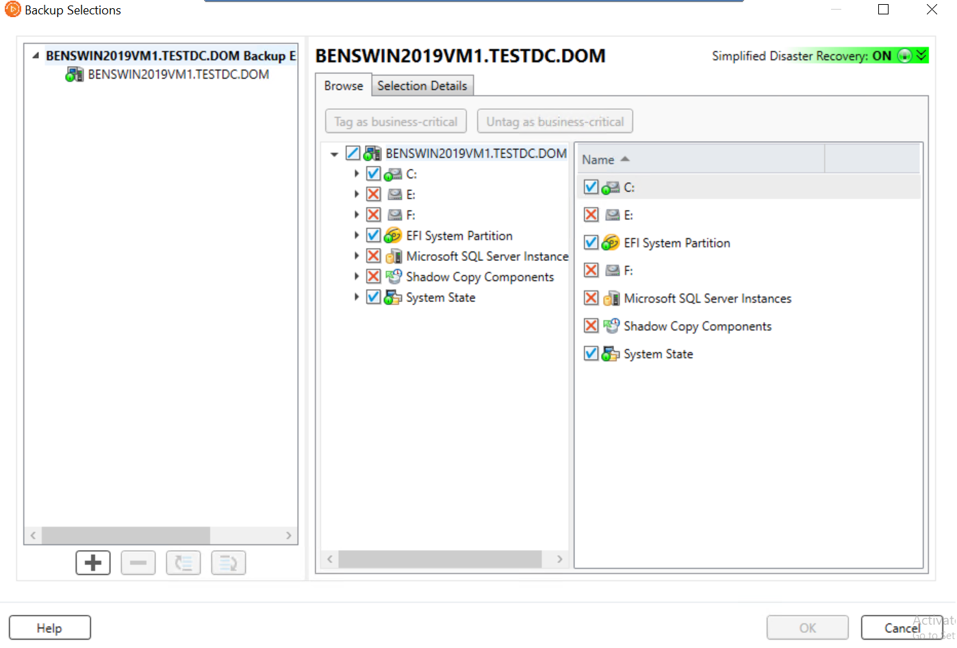 Simplified Disaster Recovery indicator is ON in the Backup Selections dialog box